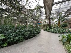 -南宫五洲植物乐园