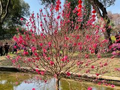 -桃花涧