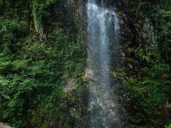 -西岭雪山大飞水景区