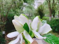 -万达广场(无锡滨湖店)