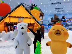 -广州热雪奇迹