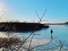 -丁香湖公园