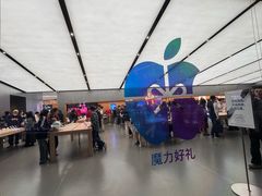 -Apple零售店(天环广场店)