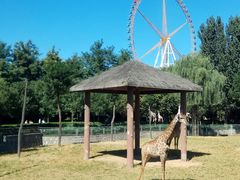 -石家庄市动物园