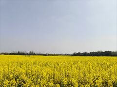 -郫都区农科村景区