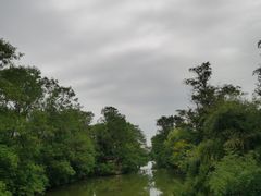 -南汇桃花村