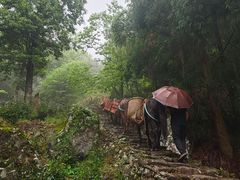 -雁荡山风景名胜区