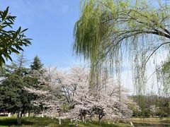 -堤角公园