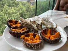 马粪海胆-上宴精品海鲜姿造(晶融汇旗舰店)