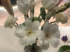 -刘一锅筋头巴脑(小北店)