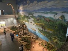 -自贡恐龙博物馆