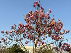 -白塘生态植物园