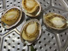 -海大大蒸汽海鲜餐厅·粤菜·特色小炒(欢乐颂店)