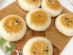 -泉龙渔村·粤式早茶·金牌烧鹅(中山三乡店)