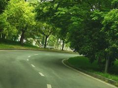 -同里国家湿地公园