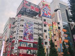 -秋叶原电器街