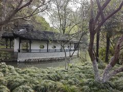 -红梅公园