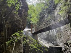 -牛背梁国家森林公园