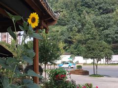 -唐师傅湘西名菜馆(武陵路店)