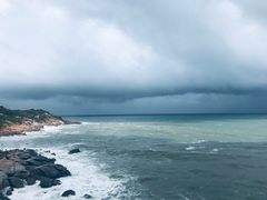 -广东惠东海龟国家级自然保护区