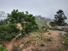 -灵岩山风景区