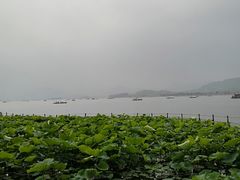 -湖畔居茶楼(湖滨店)