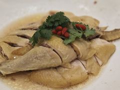 -稻香酒家·35年老字号(侨光店)