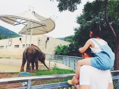 -无锡动物园·太湖欢乐园