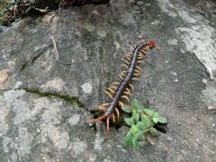 -南山风景名胜区