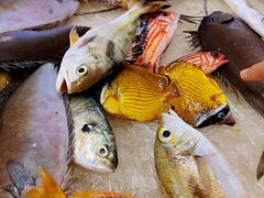 -板桥海鲜广场(文明东店)