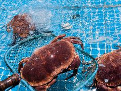 -巧克力渔家.小船海鲜胶东菜(万平口店)