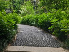 -常州古运河南大街文化旅游区-人民公园