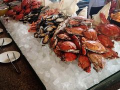 -视界美食自助餐厅·石家庄希尔顿酒店