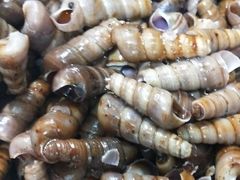 -宾朋海鲜特色美食餐厅·纯手工鲅鱼水饺(兴海路店)