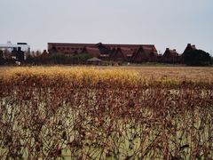 -广富林郊野公园