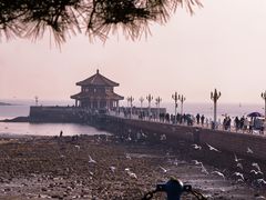 -栈桥景区