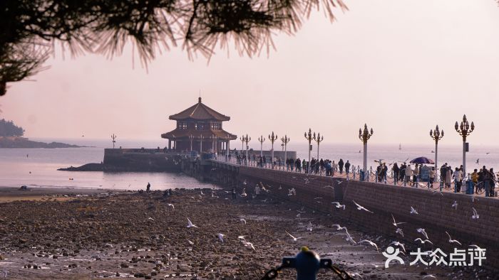栈桥景区图片