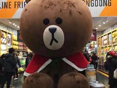 -line friends(明洞旗舰店)