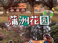 -南沙蒲洲花园