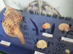 -浙江自然博物院(杭州馆)