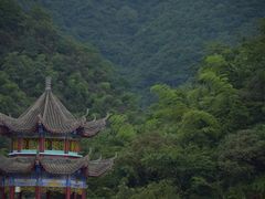 -永州阳明山国家森林公园