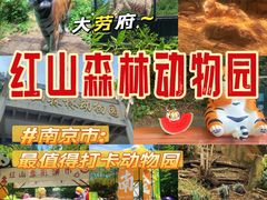 -红山森林动物园