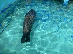 -太平洋海底世界