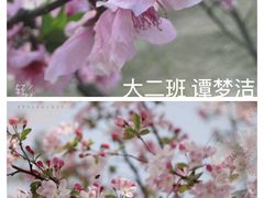 线上活动摄影展-吉的堡幼儿园(安康仕府大院园)