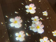 -湊湊火锅·茶憩(石家庄万象城店)