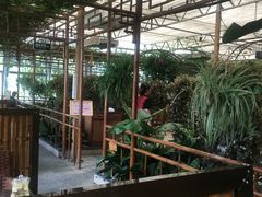-金稼园·金平湖农家菜