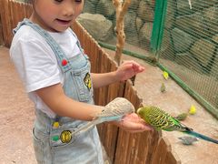 -杭州开元森泊度假乐园