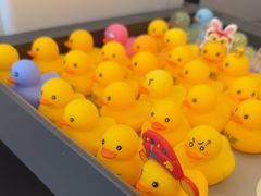 -LINLEE林里·手打柠檬茶(海曙天一广场店)