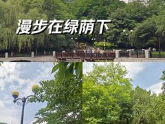 -大连植物园