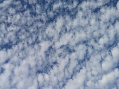 -鼎丰真(四马路店)